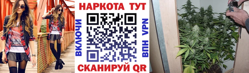 Сколько стоит Терек МАРИХУАНА гидра зеркало Псилоцибиновые грибы Меф А ПВП