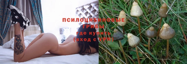 каннабис Аркадак