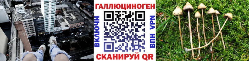 Галлюциногенные грибы GOLDEN TEACHER  хочу наркоту  Терек 